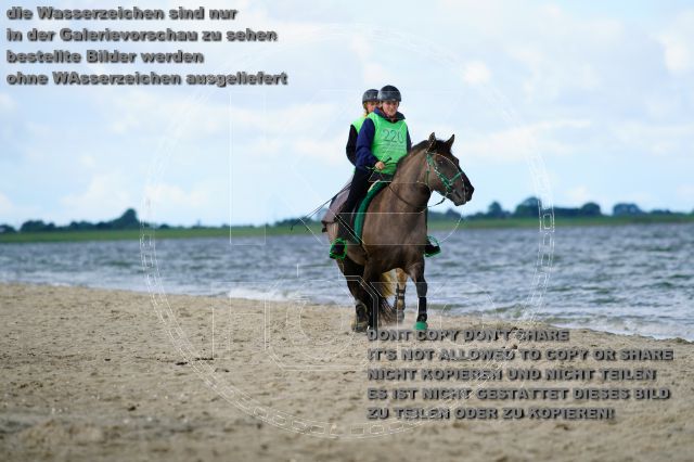 s_K3F05160.JPG